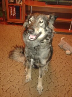 20160316_194001.jpg