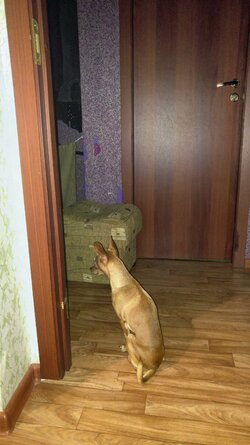 20160905_215425.jpg