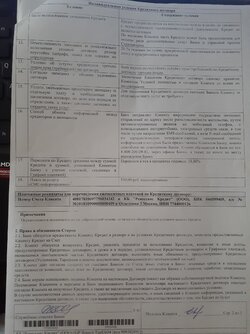2д.jpg