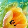 Доми
